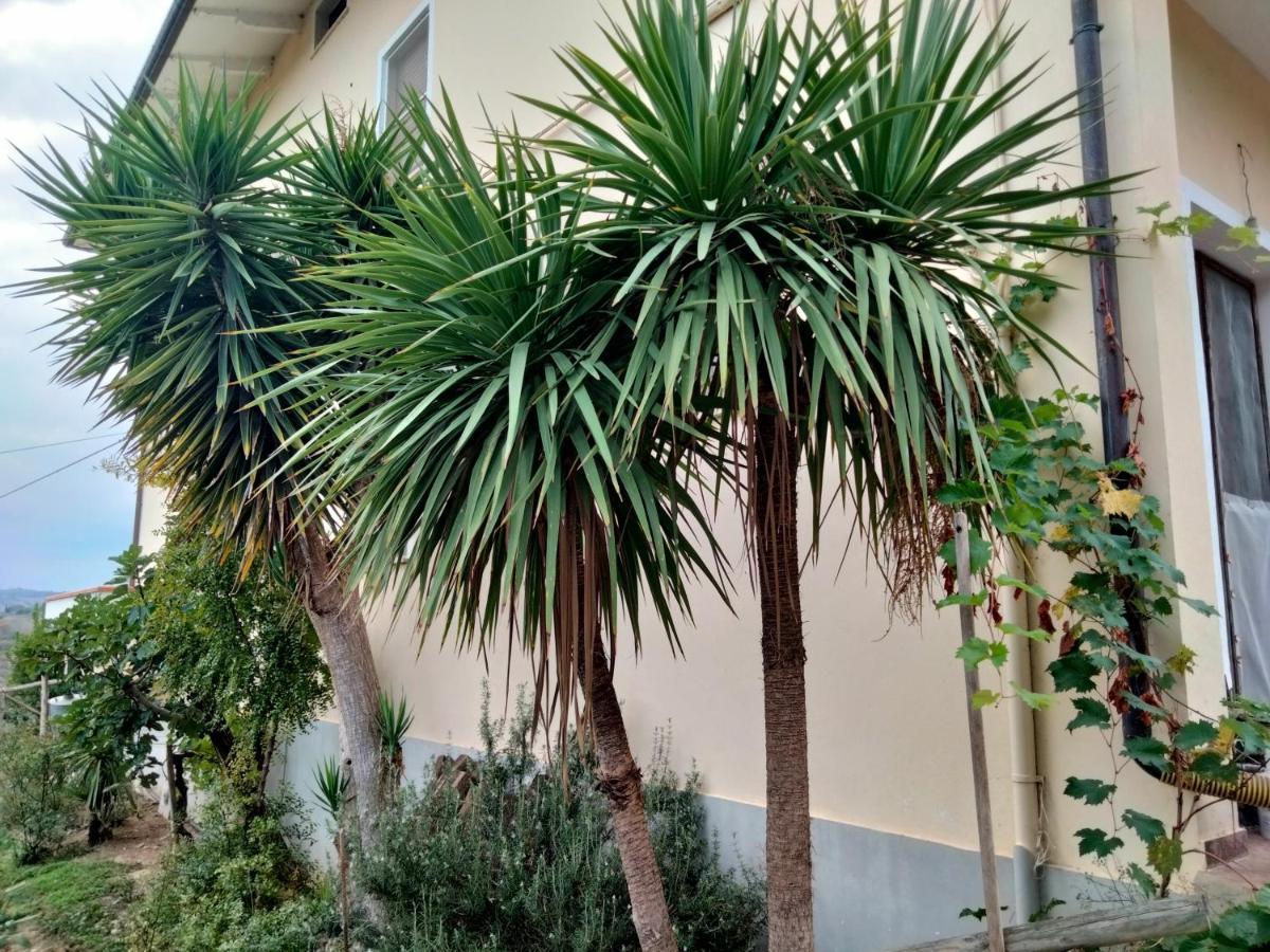 Casa Il Canto Tortoreto Luaran gambar
